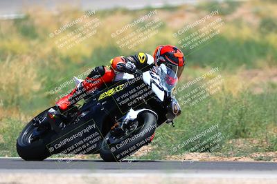 media/Apr-30-2023-CRA (Sun) [[020fcf5d43]]/Race 2-600 Expert Supersport/